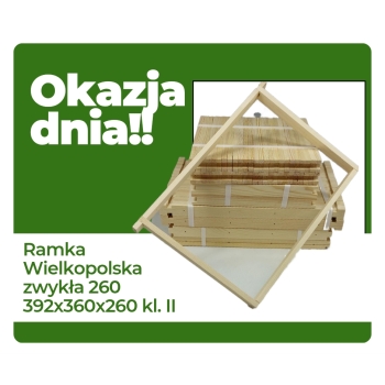 Okazja dnia Ramka wielkopolska zwykła 260 klasa II 180 szt